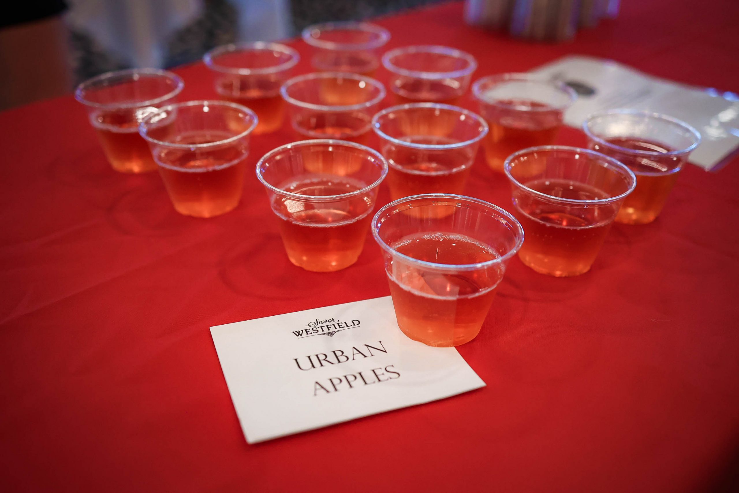 Savor Westfield 2024 event photo 51