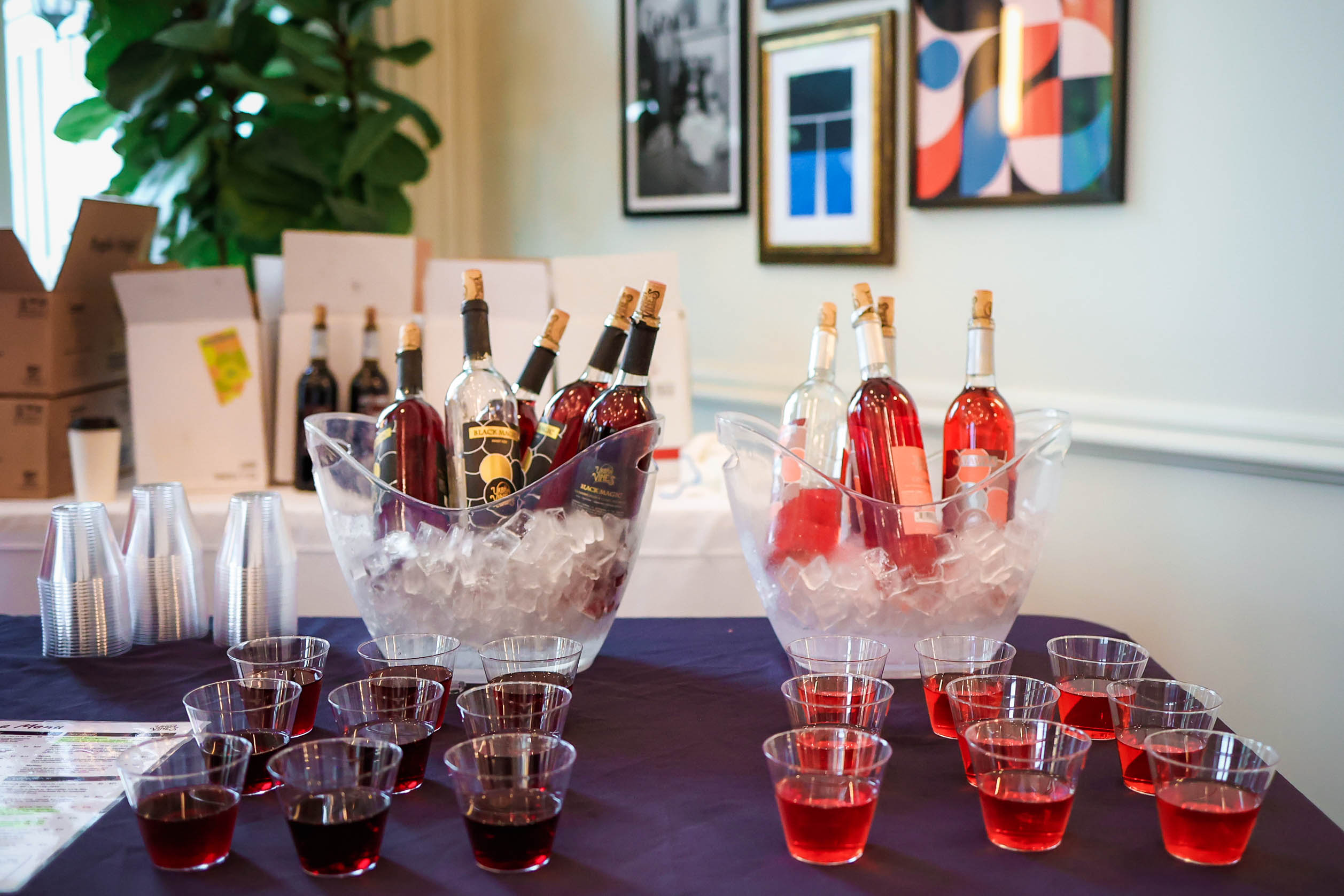 Savor Westfield 2024 event photo 60