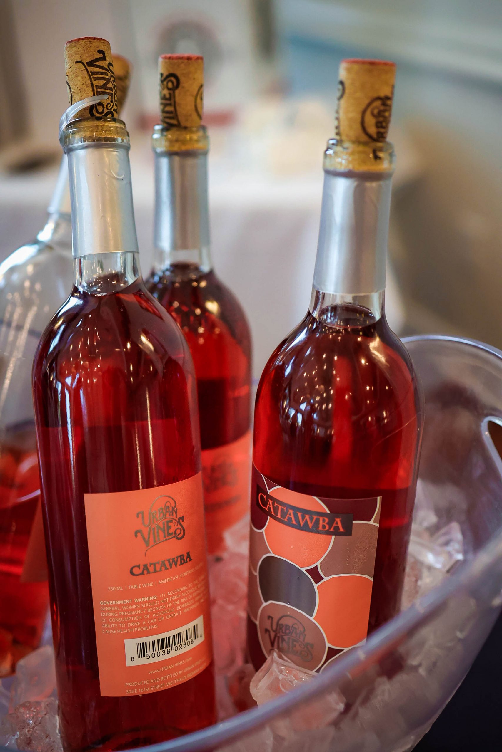 Savor Westfield 2024 event photo 61