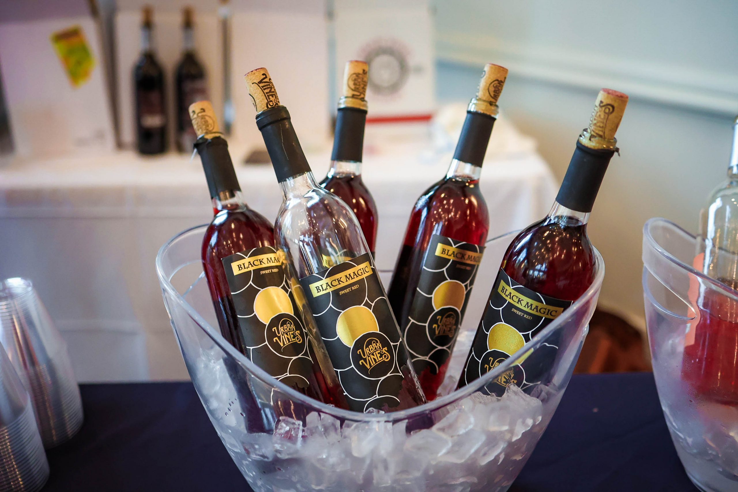 Savor Westfield 2024 event photo 63