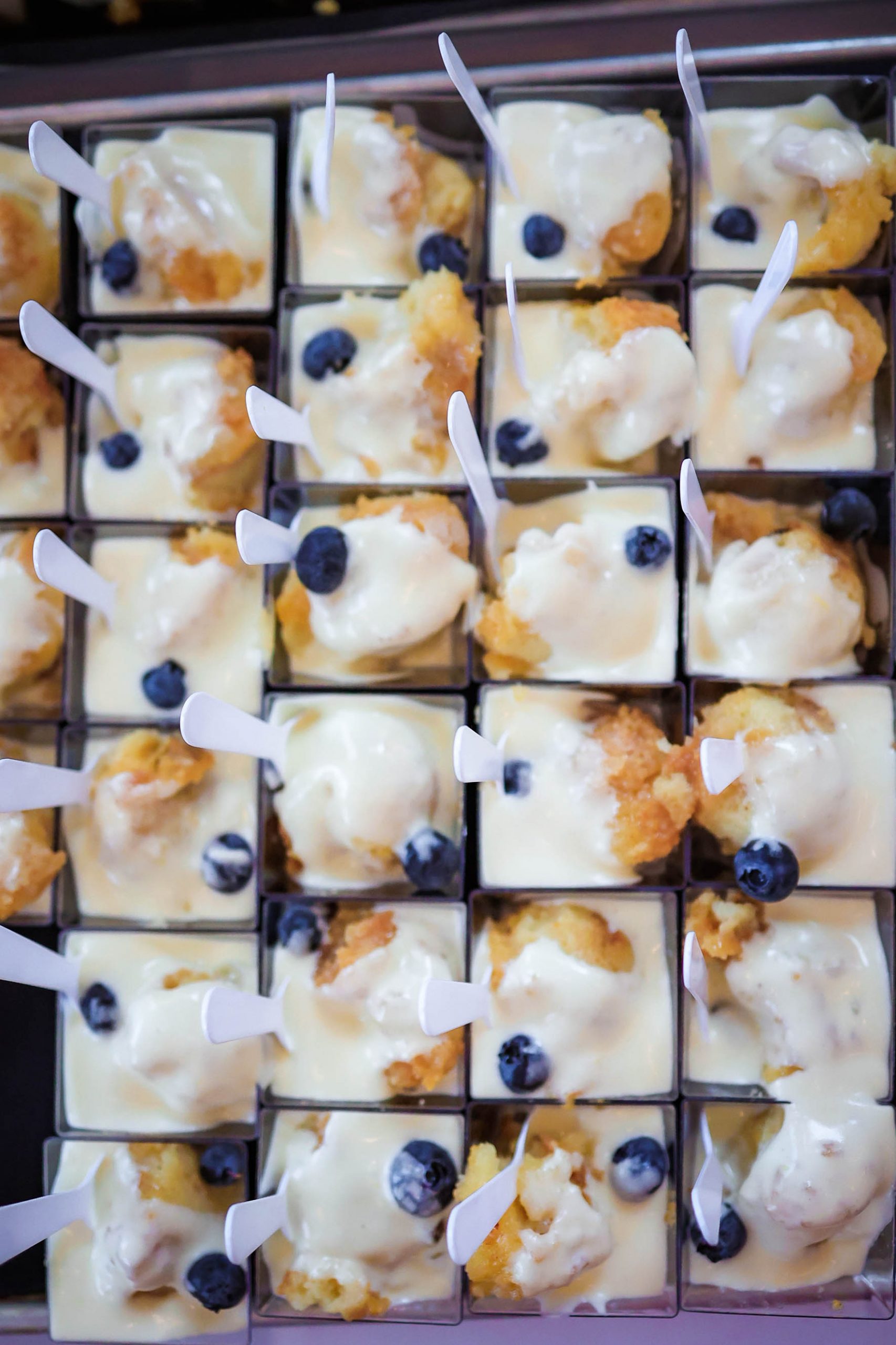 Savor Westfield 2024 event photo 66
