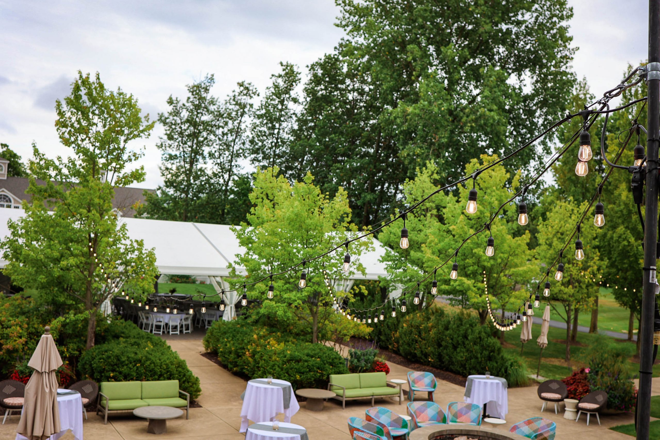 Savor Westfield 2024 event photo 27